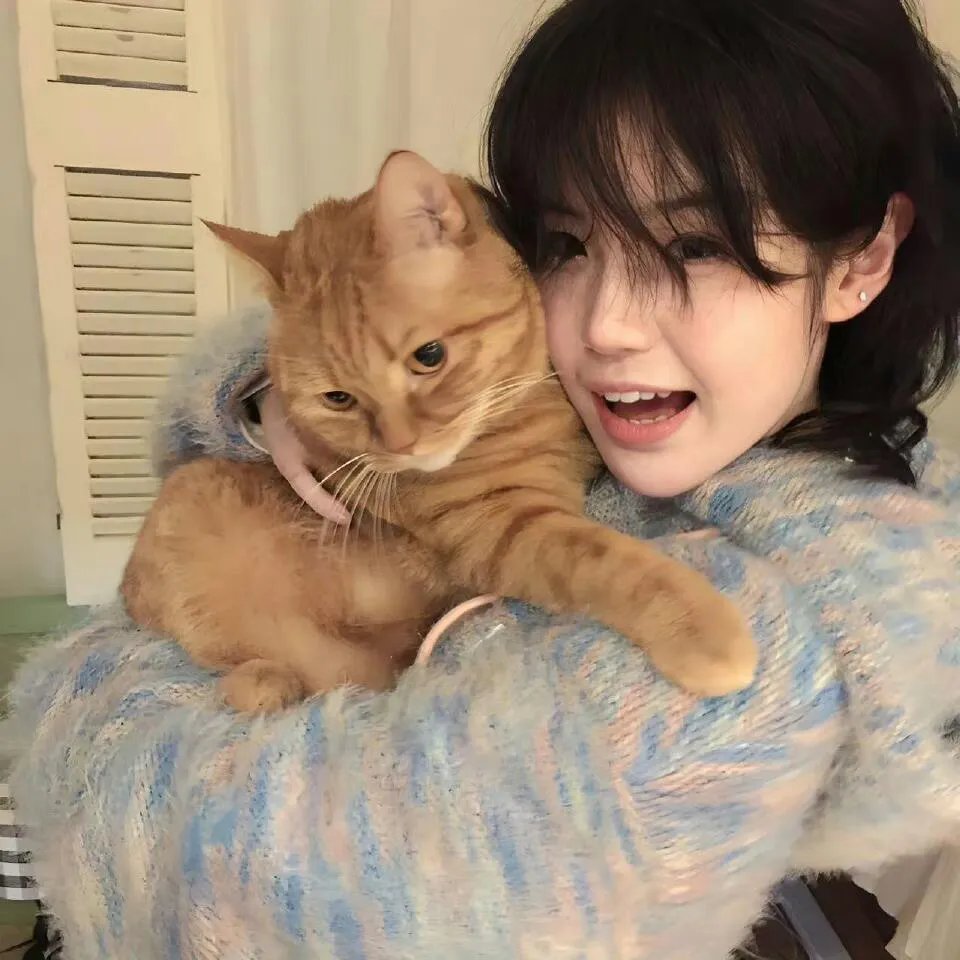 这就是我:席琳·狄翁